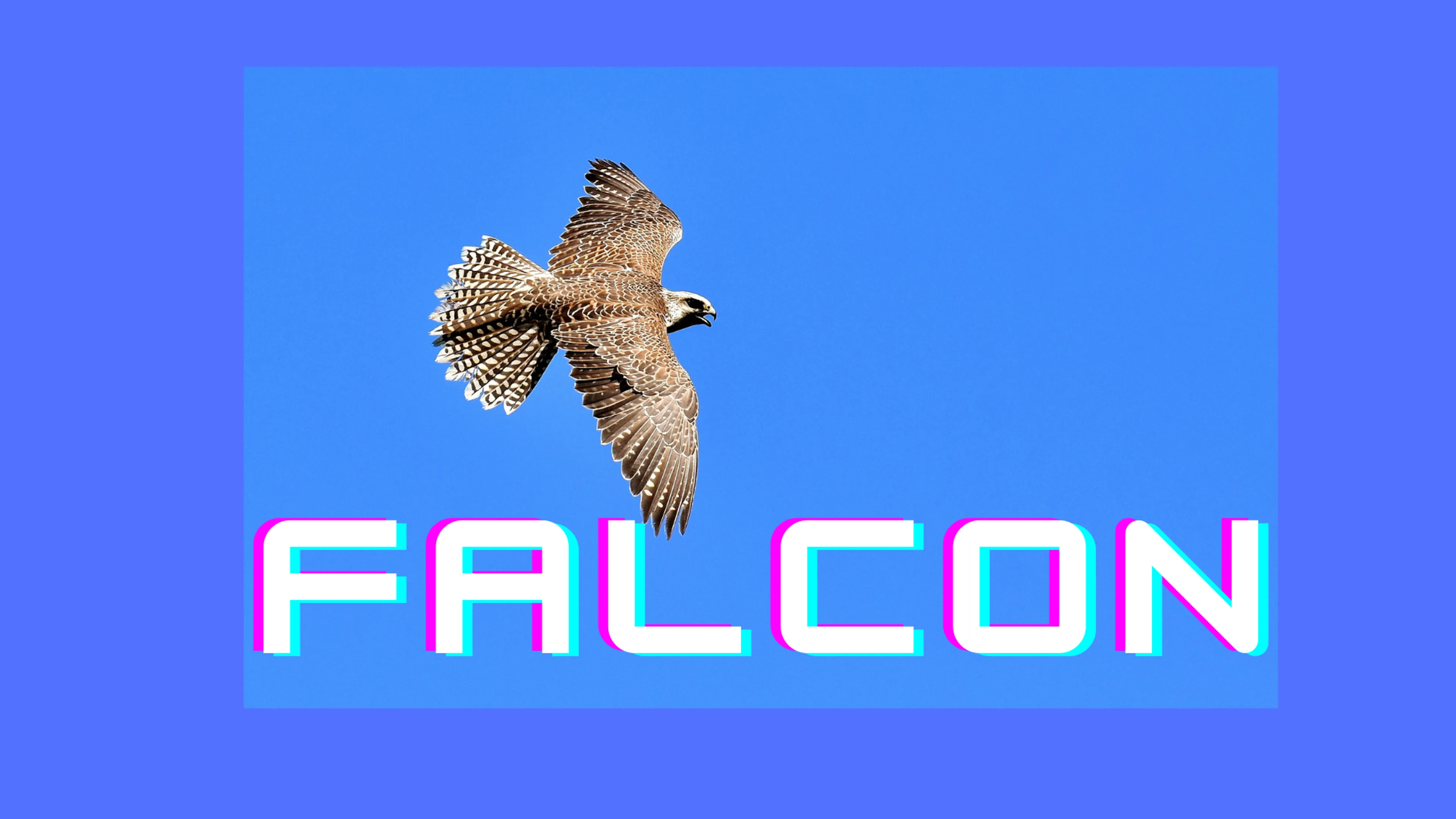 Falcon poster